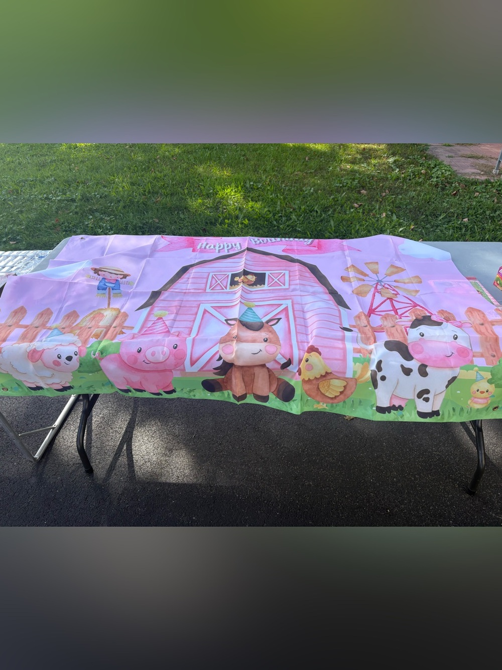 Girl Farm Birthday Lot